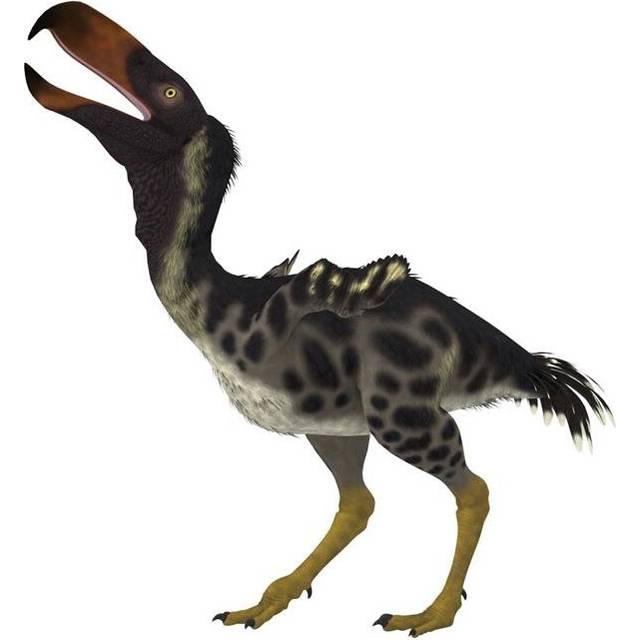 Kelenken is An Extinct Genus of Giant Flightless Predatory Birds That Are Called Terror Birds From The Miocene Epoch Poster Print, 14 x 14