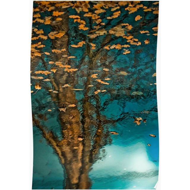 Posters Golden Leaves 16x20 inch or 20x20 inch Wall Art Soccer Print