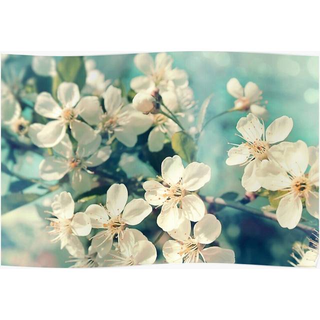 Posters Cherry blossom 16x20 inch or 20x20 inch Wall Art Soccer Print