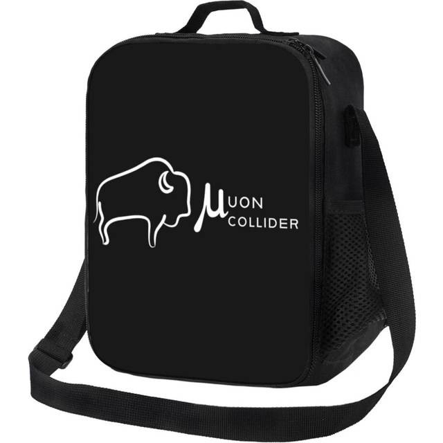 Kids Lunch Bag Muon Collider - Lengthwise White Text Insulated Tote Box for Girls Boys Back to School