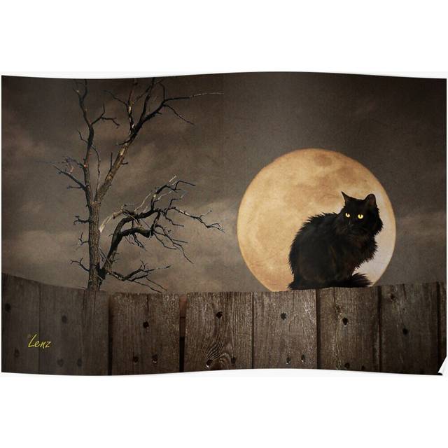 Posters Cat On A Fence 16x20 inch or 20x20 inch Wall Art Soccer Print
