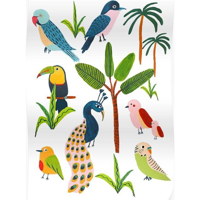 Posters Bird Species 16x20 inch or 20x20 inch Wall Art Soccer Print