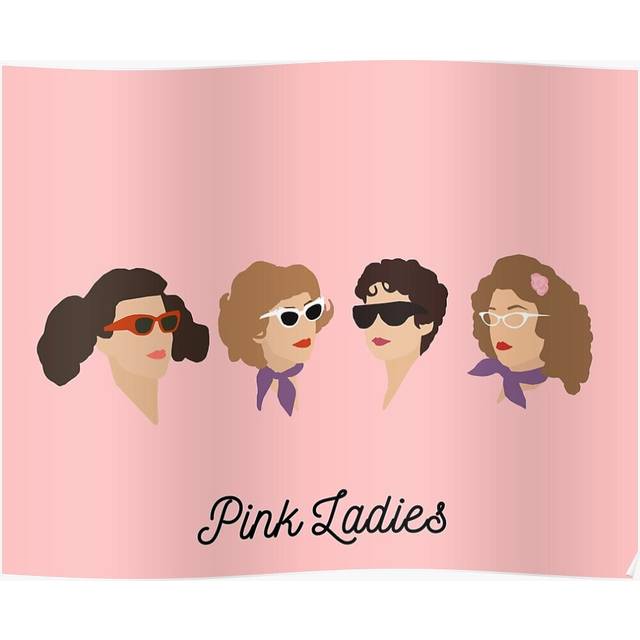 Posters Pink Ladies 16x20 inch or 20x20 inch Wall Art Soccer Print