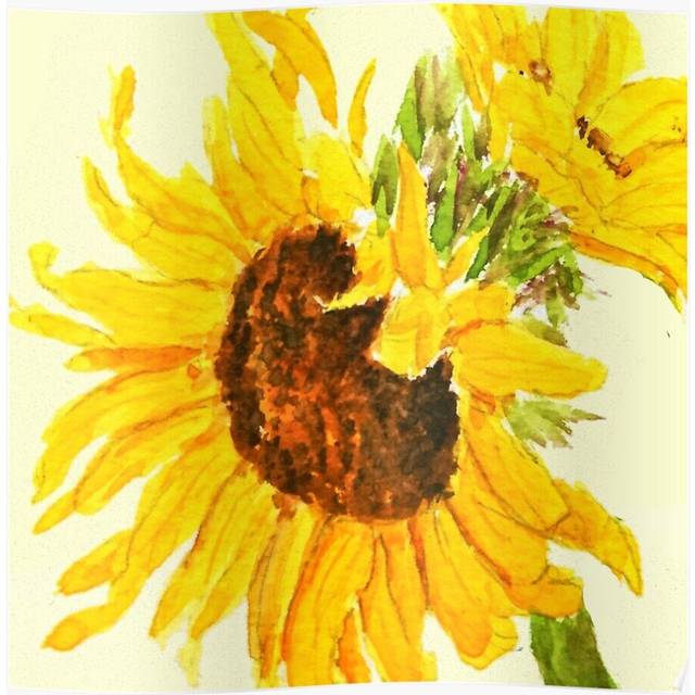 Posters sunflower watercolor painting macro 16x20 inch or 20x20 inch Wall Art Soccer Print