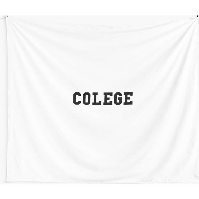 Tapestry 60x50inch College Wall Hanging Art DÃ©cor Living Room