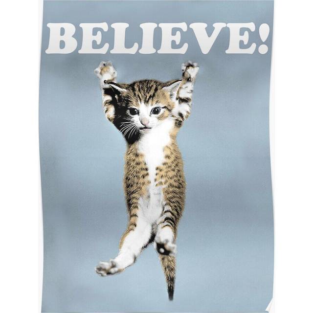 Posters Believe Cat 16x20 inch or 20x20 inch Wall Art Soccer Print