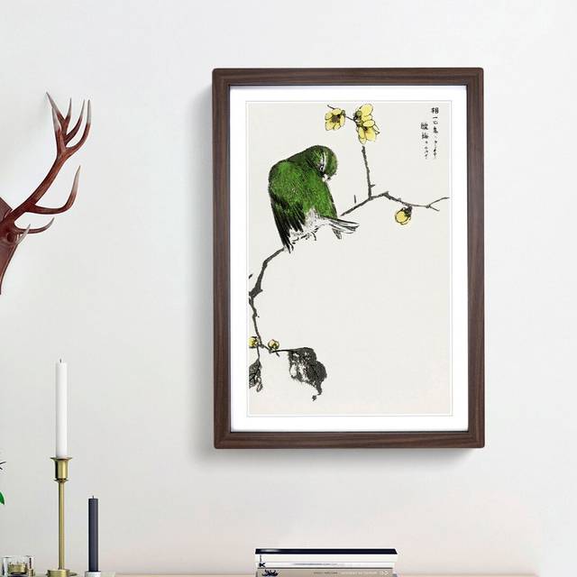 Green Fairy Pitta Bird by Numata Kashu - Picture Frame Painting Print - Walnut Framed (48cm H x 36cm W x 2cm D)