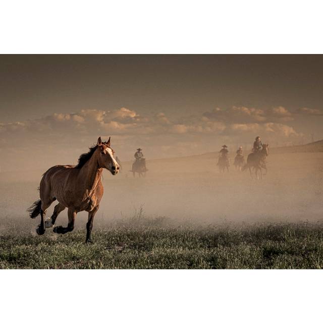 Horse Running by Instants - Wrapped Canvas Art Prints - Brown (51cm H x 76cm W)
