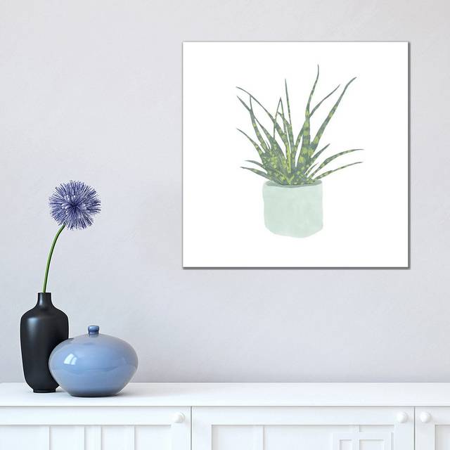 Snake Plant I by Bannarot - Wrapped Canvas Graphic Art (45.72 cm H x 45.72 cm W x 3.175 cm D)