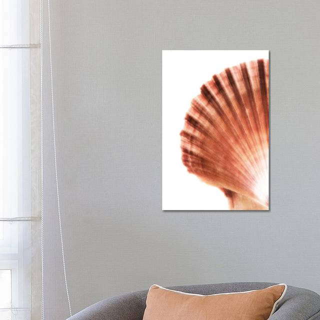 PHD952_Scallop Seashell (66.04cm H x 45.72cm W x 3.81cm D)