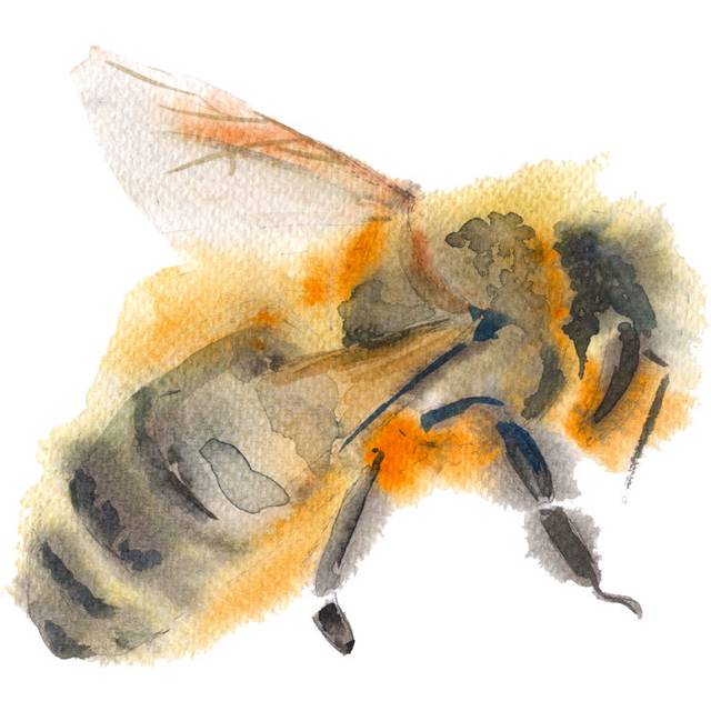 Flying Bee by Luchioly - Wrapped Canvas Painting (91cm H x 91cm W)