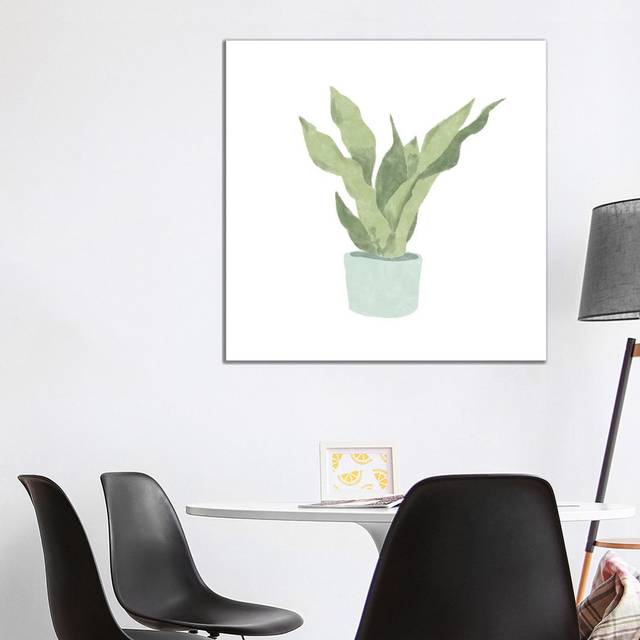 Snake Plant II by Bannarot - Wrapped Canvas Art Prints (93.98 cm H x 93.98 cm W x 3.175 cm D)