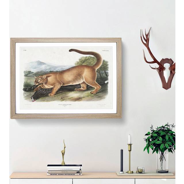 Cougar by J.W. Audubon - Picture Frame Painting Print - Oak Framed (48cm H x 65cm W x 2cm D)