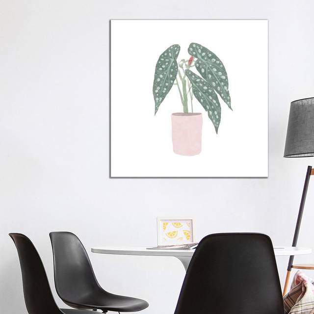 Polka Dot Begonia V by Bannarot - Wrapped Canvas Graphic Art (93.98cm H x 93.98cm W x 3.81cm D)