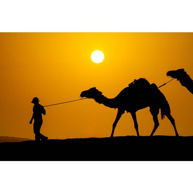 Silhouettes of Men and Camels in a Desert by Savoskula Maria - Wrapped Canvas Photograph (51cm H x 76cm W x 3.8cm D)