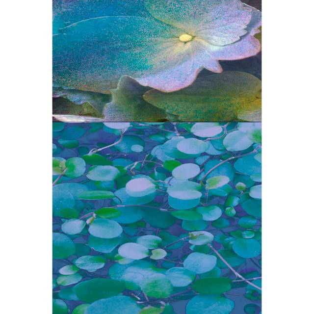 Hydrangea Mix I by Ricki Mountain - Wrapped Canvas Art Prints (46cm H x 30cm W x 3.8cm D)