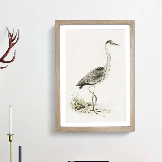 Grey Heron by Von Wright - Picture Frame Painting Print - Oak Framed (36cm H x 27cm W x 2cm D)
