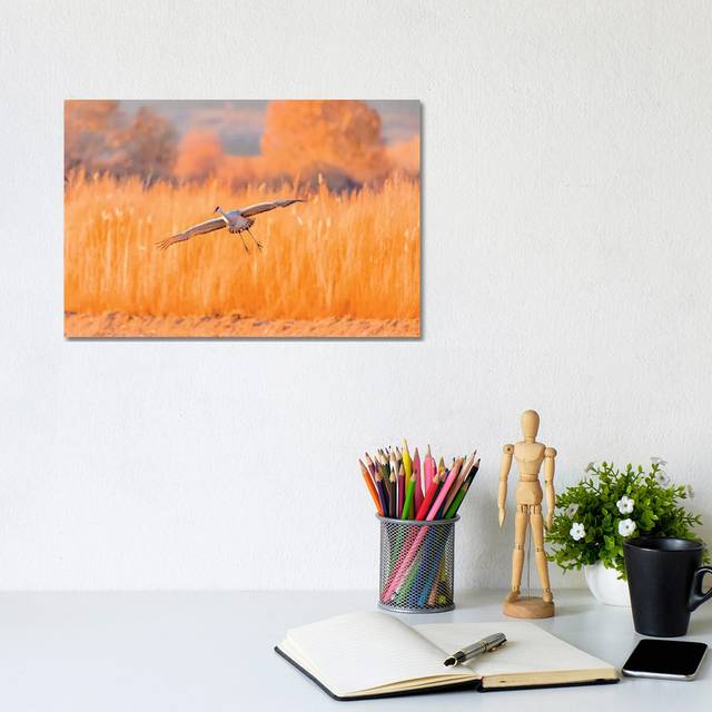 USA, New Mexico, Bosque Del Apache Wildlife Refuge. Sandhill Crane Landing. by - Wrapped Canvas (101.6 cm H x 66.04 cm W x 3.175 cm D)