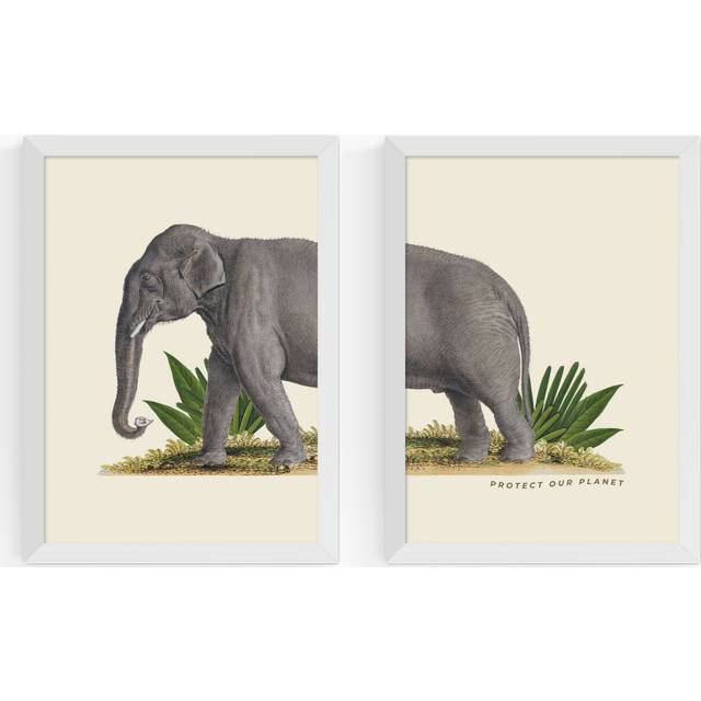 EAST END PRINTS Natural History Museum 'Elephant' Framed Print, Set of 2