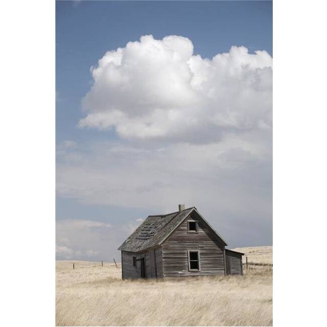Old Wooden House In Field Poster Print, 12 x 19