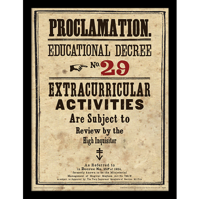 Harry Potter (Educational Decree No. 29) Framed 30 x 40cm Print