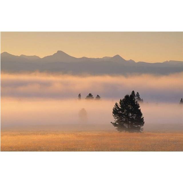 Fog At Sunrise Pelican Valley Yellowstone National Park Wyoming USA Poster Print by Natural Selection Robert Cable, 18 x 12
