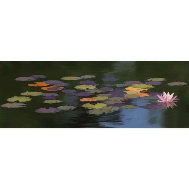 Water Lilies Nymphaeaceae On A Pond - Alberta Canada Poster Print by Ron Harris, 36 x 14 - Large