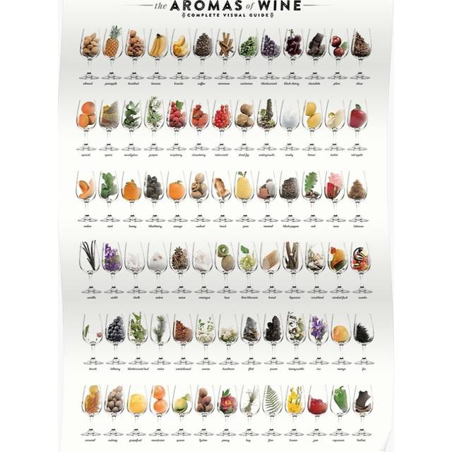Posters The Aromas of Wine 16x20 inch or 20x20 inch Wall Art Soccer Print