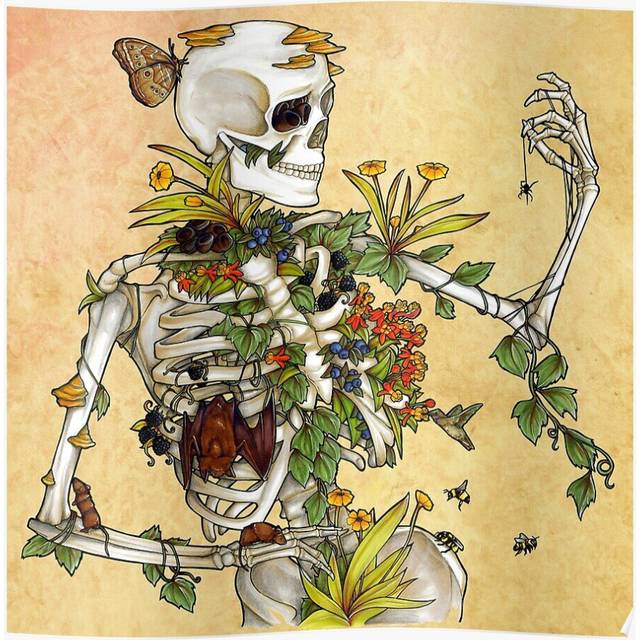 Posters Bones and Botany 16x20 inch or 20x20 inch Wall Art Soccer Print