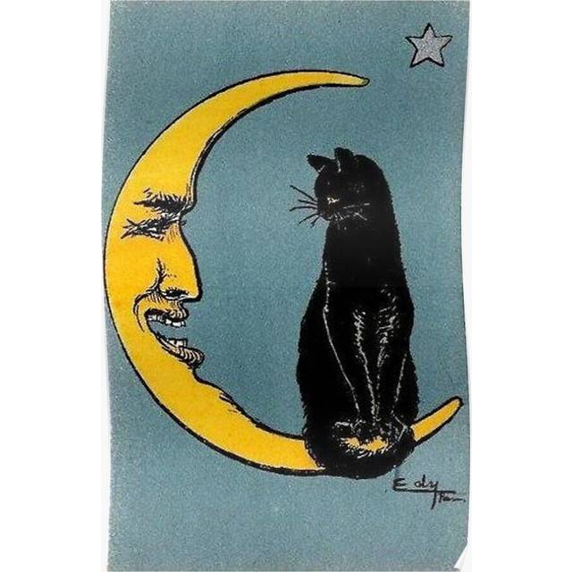 Posters Vintage French Black Cat Moon 16x20 inch or 20x20 inch Wall Art Soccer Print
