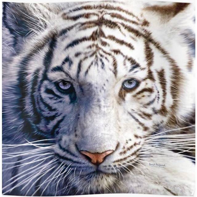 Posters White Tiger Eyes 16x20 inch or 20x20 inch Wall Art Soccer Print