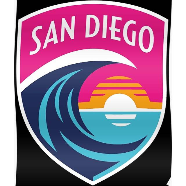 Posters San Diego Wave FC 16x20 inch or 20x20 inch Wall Art Soccer Print