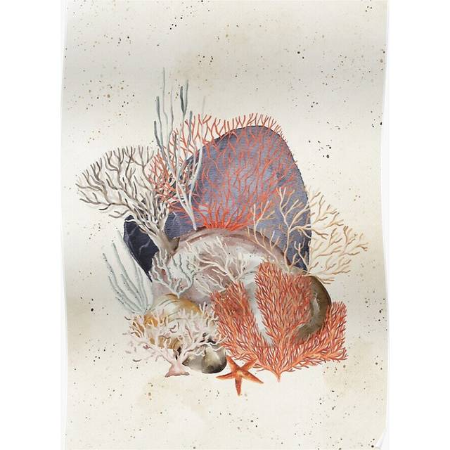Posters Sea shells corals pebbles sea life art 16x20 inch or 20x20 inch Wall Art Soccer Print