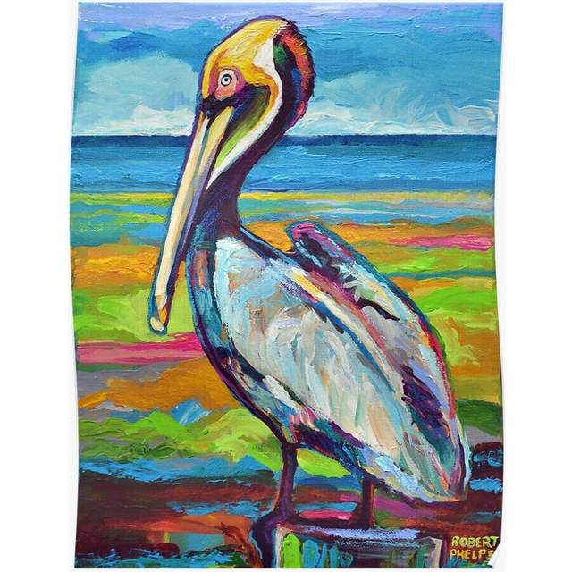 Posters Colorful St Pete Pelican 16x20 inch or 20x20 inch Wall Art Soccer Print