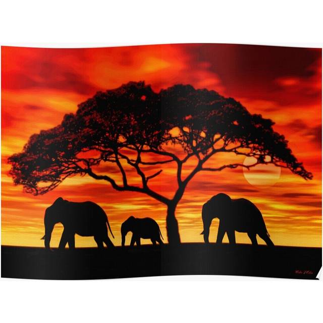 Posters Acacia Elephant Sunset 16x20 inch or 20x20 inch Wall Art Soccer Print
