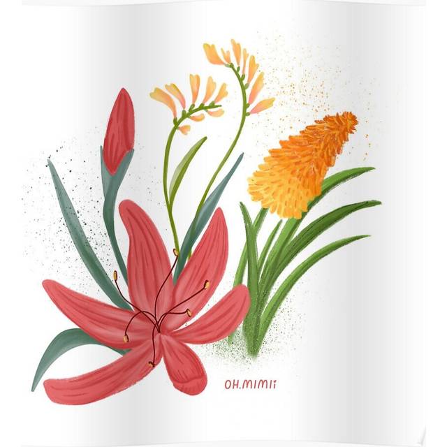 Posters Kangaroo paw Kaffir lily Kniphobia 16x20 inch or 20x20 inch Wall Art Soccer Print