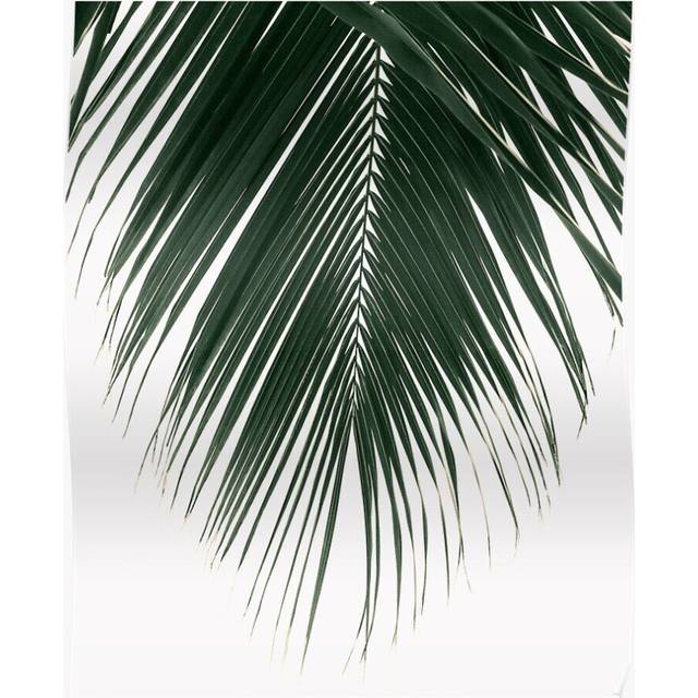 Posters Tropical Palm Leaf Palm Tree Green Leaf Summer 16x20 inch or 20x20 inch Wall Art Soccer Print