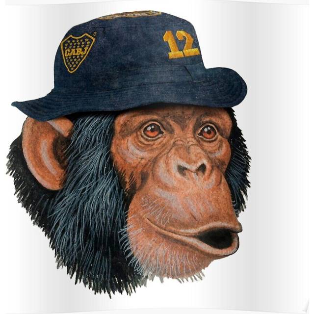 Posters Boca Juniors Ape Fan 16x20 inch or 20x20 inch Wall Art Soccer Print