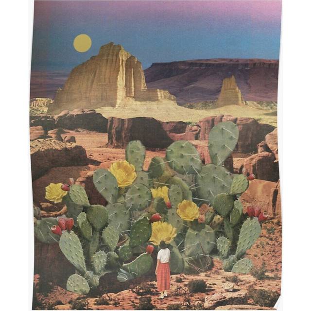 Posters Cactus Flowers 16x20 inch or 20x20 inch Wall Art Soccer Print