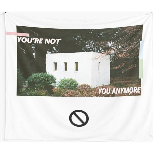 Tapestry 60x50inch You're Not You Anymore Wall flag Wall Hanging Art DÃ©cor Living Room