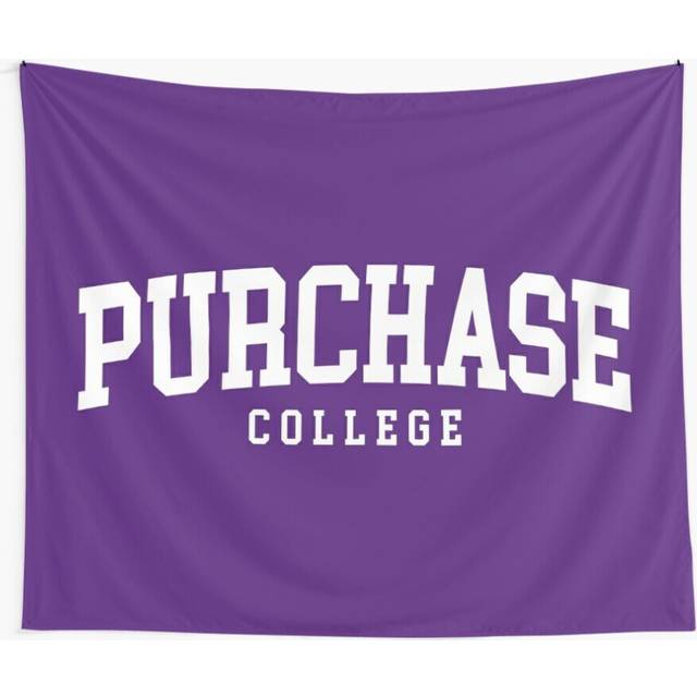 Tapestry 60x50inch suny purchase - college font curved Wall Hanging Art DÃ©cor Living Room