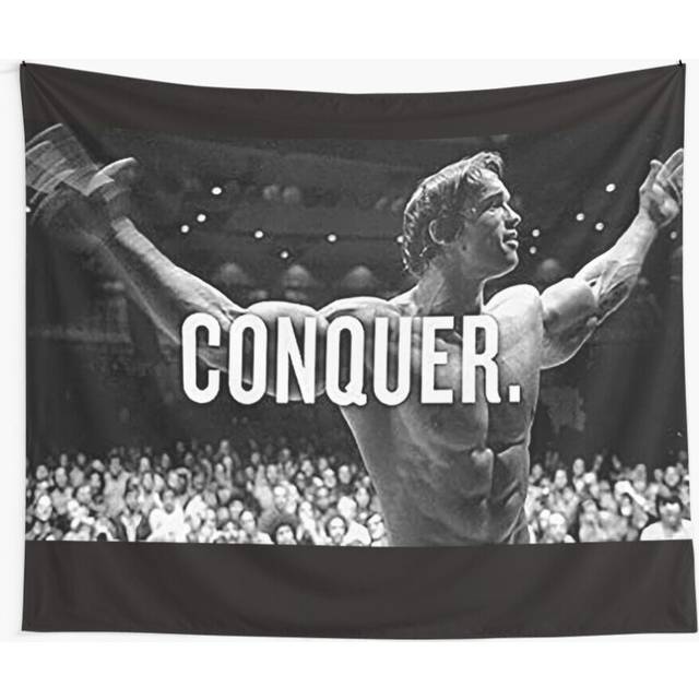 Tapestry 60x50inch motivation Arnold Schwarzenegger conquer Wall Hanging Art DÃ©cor Living Room