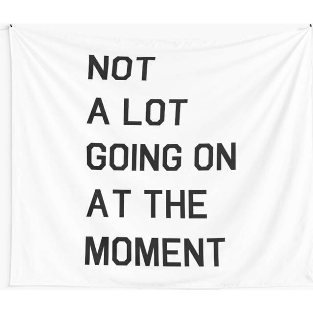 Tapestry 60x50inch Not A Lot Going On At The Moment Wall Hanging Art DÃ©cor Living Room