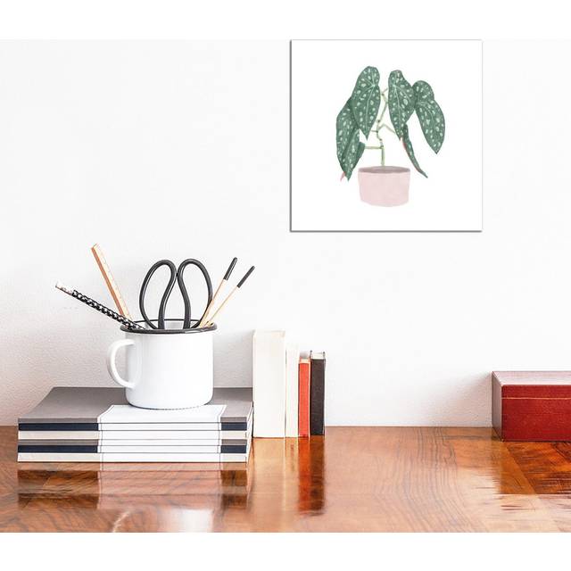 Polka Dot Begonia III by Bannarot - Wrapped Canvas Graphic Art (30.48cm H x 30.48cm W x 1.91cm D)