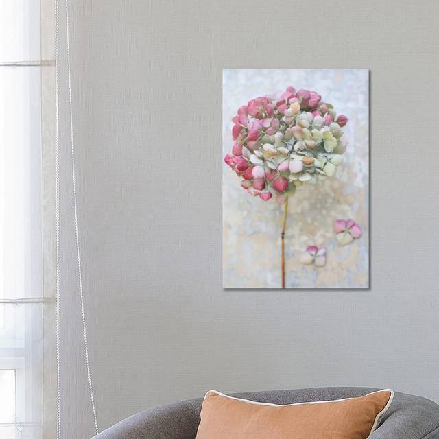 Pastel Dried Hydrangea II by Alyson Fennell - Wrapped Canvas Graphic Art (66.04cm H x 45.72cm W x 1.91cm D)