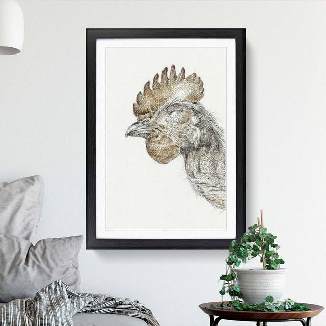 Head of a Chicken by Jean Bernard - Picture Frame Drawing Print - Black Framed (36cm H x 27cm W x 2cm D)