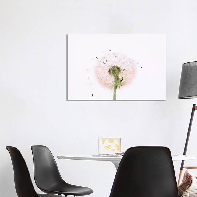Close-up Dandelion Seeds by Panoramic Images - Wrapped Canvas Photograph (66.04cm H x 101.6cm W x 1.91cm D)