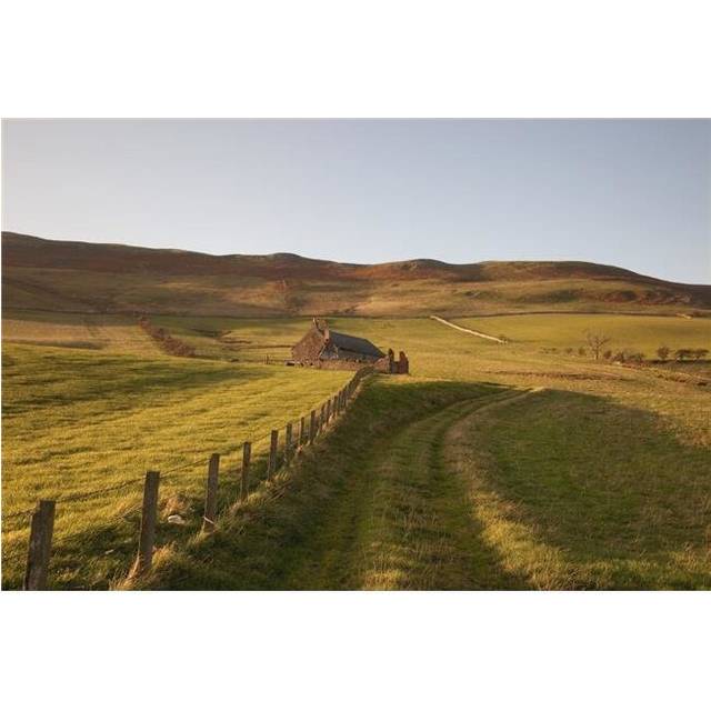 Northumberland England - A Farm Structure & A Fence Around A Field Poster Print, 38 x 24