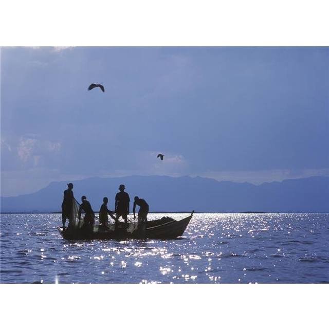 Fishermen Pulling Fishing Nets On Small Boat On Lake Chilwa Poster Print, 36 x 26 - Large