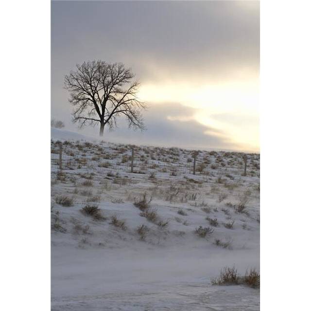 Winter Landscape Poster Print by Chris & Kate Knorr, 24 x 34 - Large